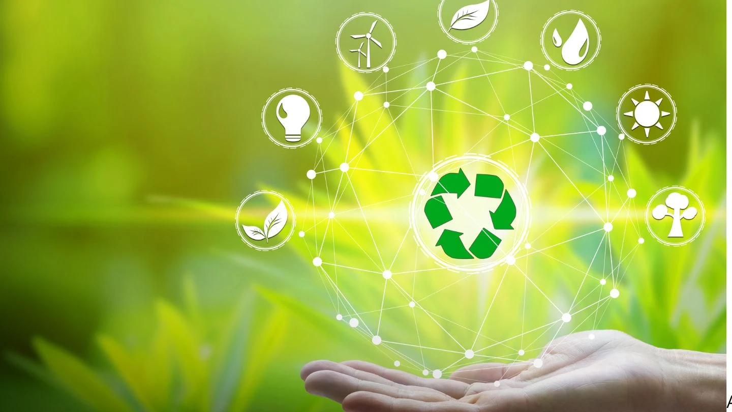 Estudo de impacto ambiental para mineração