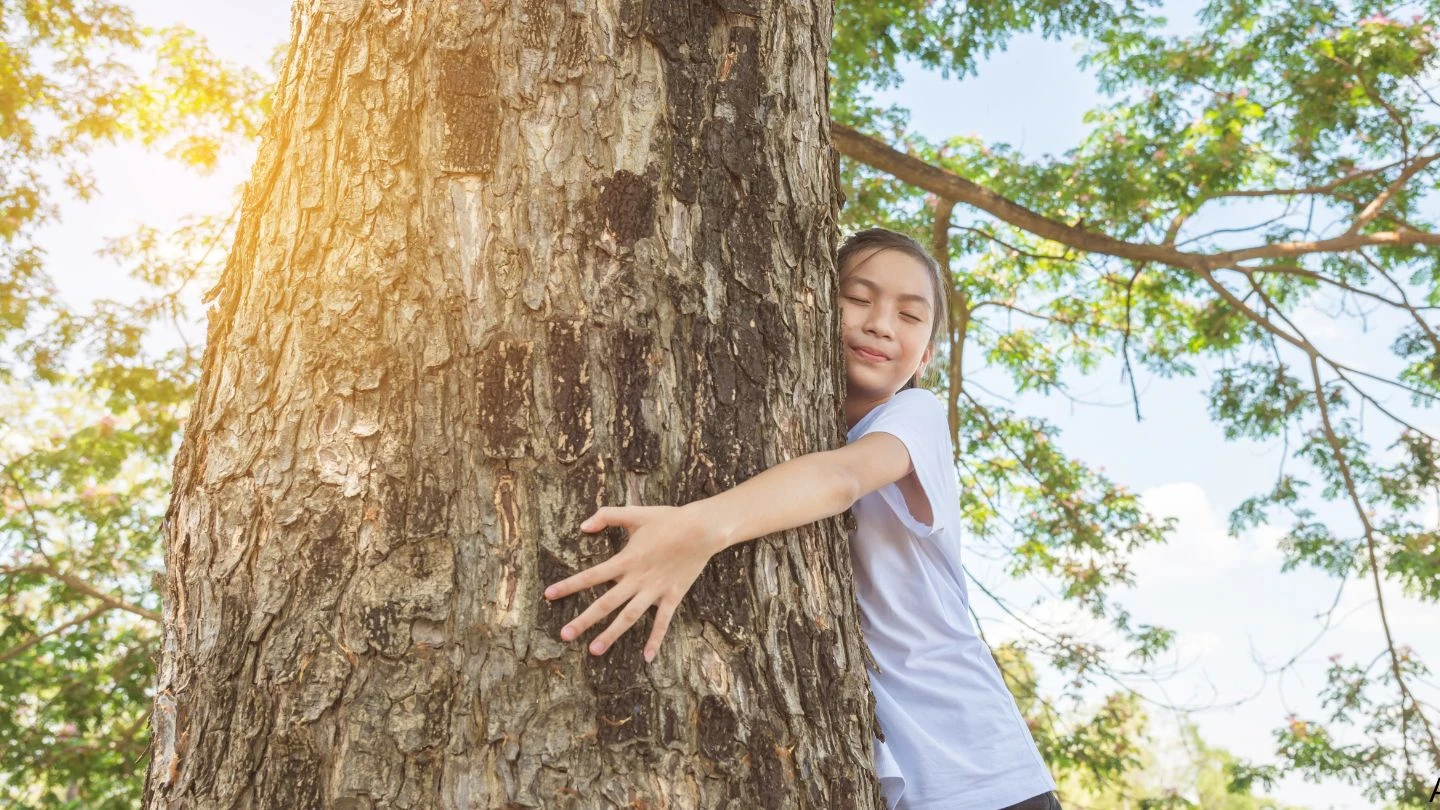 Estudo e relatório de impacto ambiental
