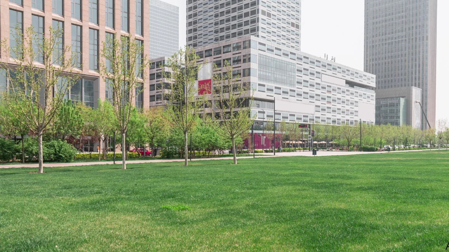 Estudos ambientais na Grande SP