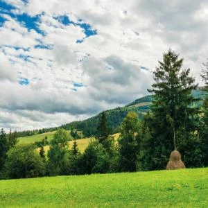 Licenciamento ambiental na Grande SP