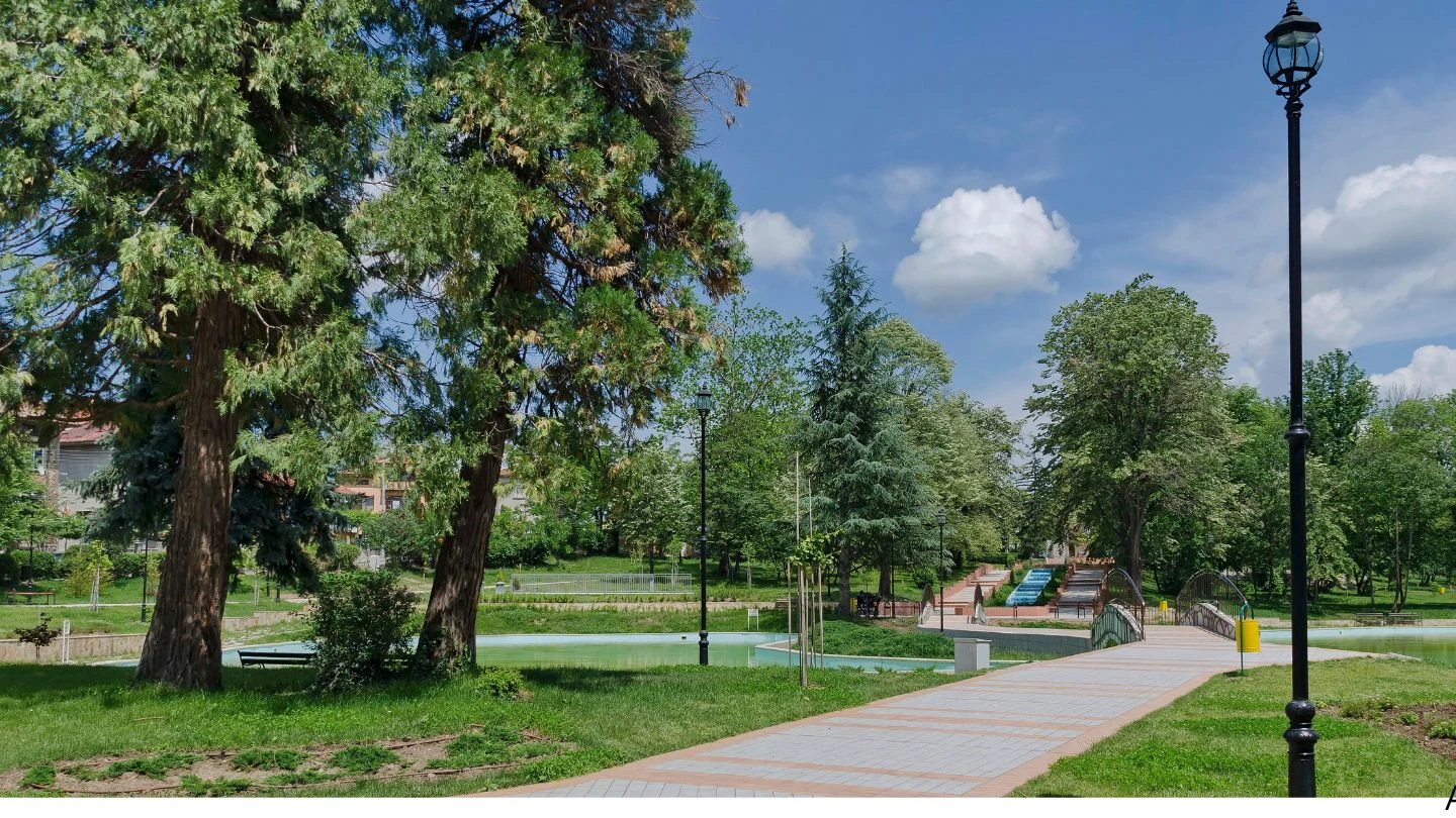 Permissão para cortar arvore