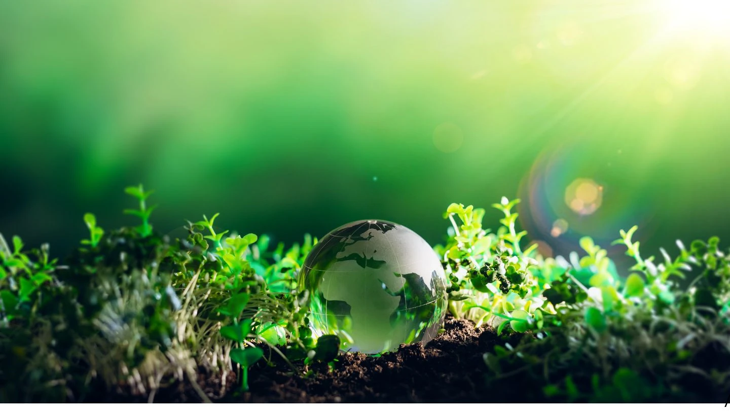 Prad plano de recuperação de áreas degradadas