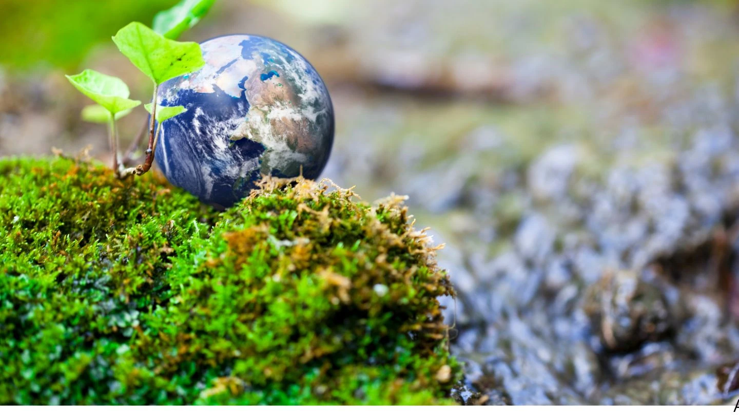 Prad plano de recuperação de áreas degradadas na Grande SP