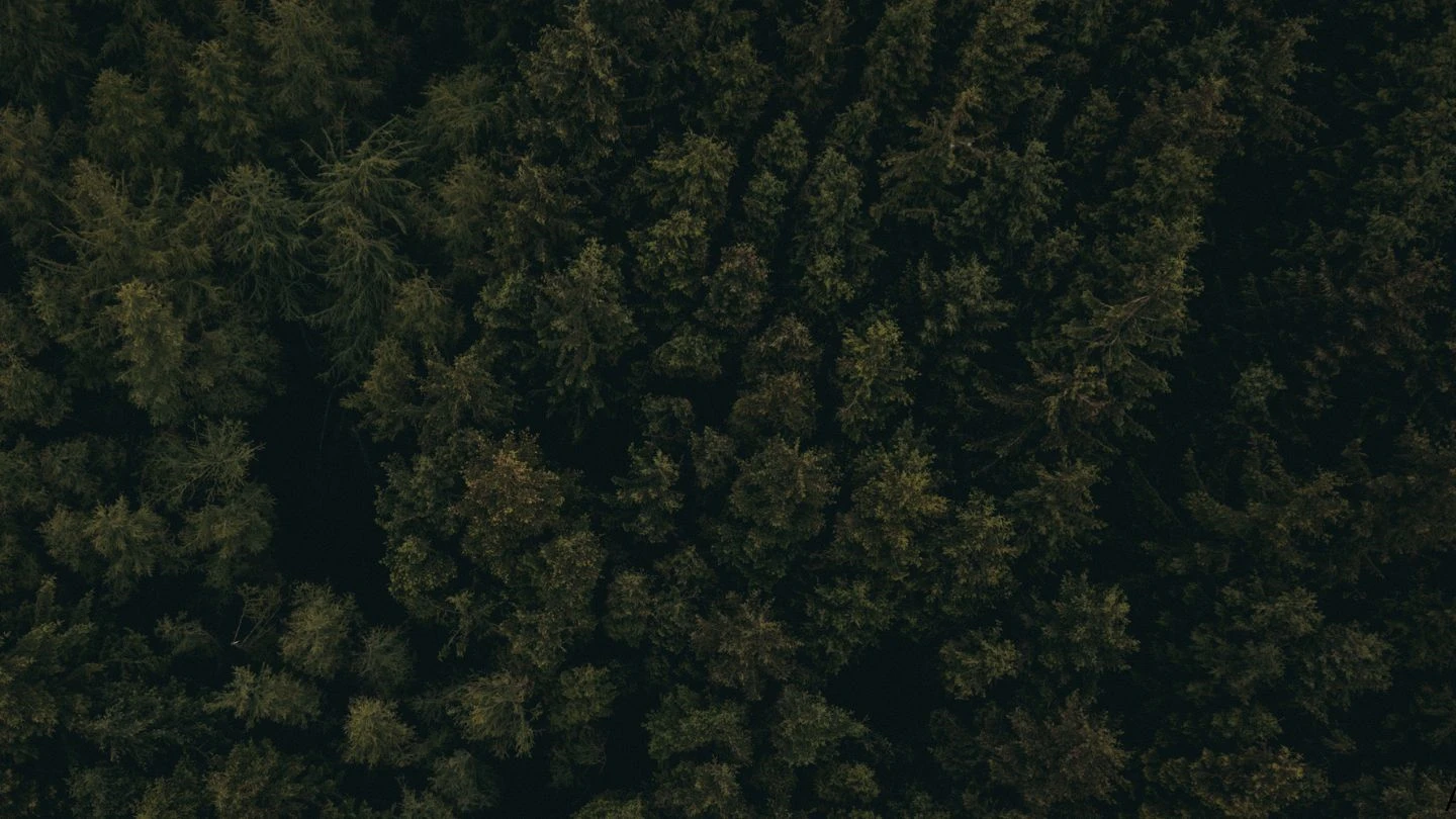 Serviços de compensação ambiental