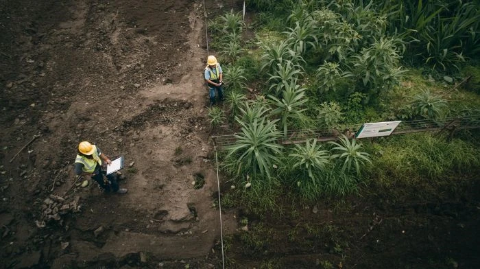 Termo de recuperação ambiental