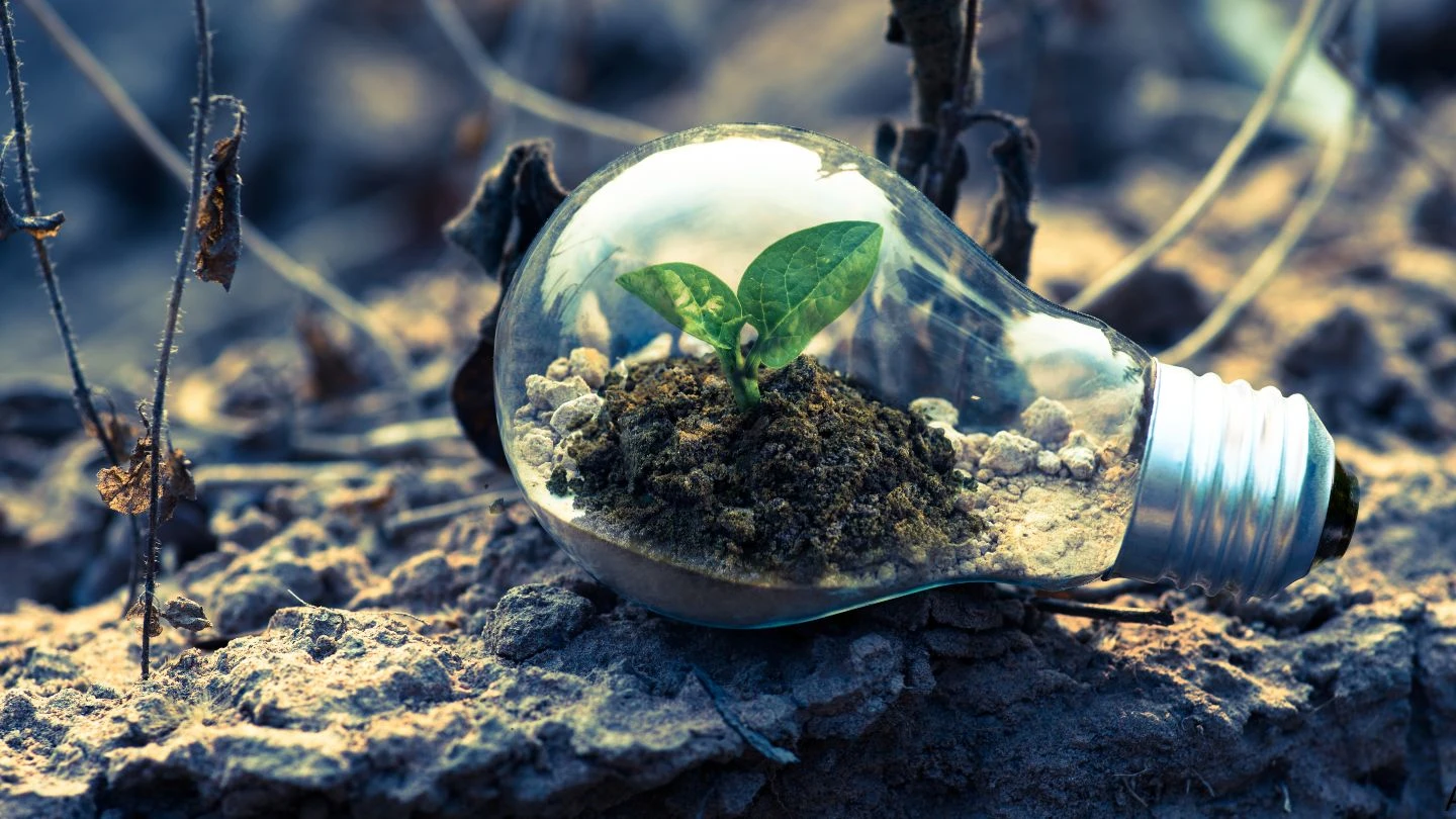 Usucapião judicial em São Paulo