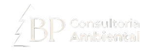 BP Consultoria